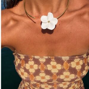 Frangipani Abierto